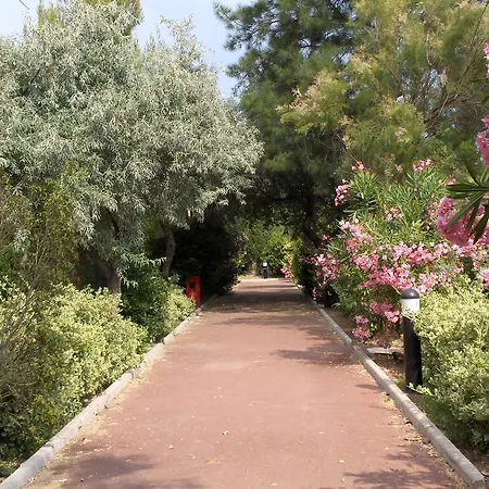 Vvf Villages   Le Parc Des Salines 3* Sigean